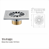 TY-F1021